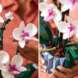 Détails du Lego Botanical Collection 10311 - L'orchidée - en vente d'occasion sur L'île aux trésors à Fribourg